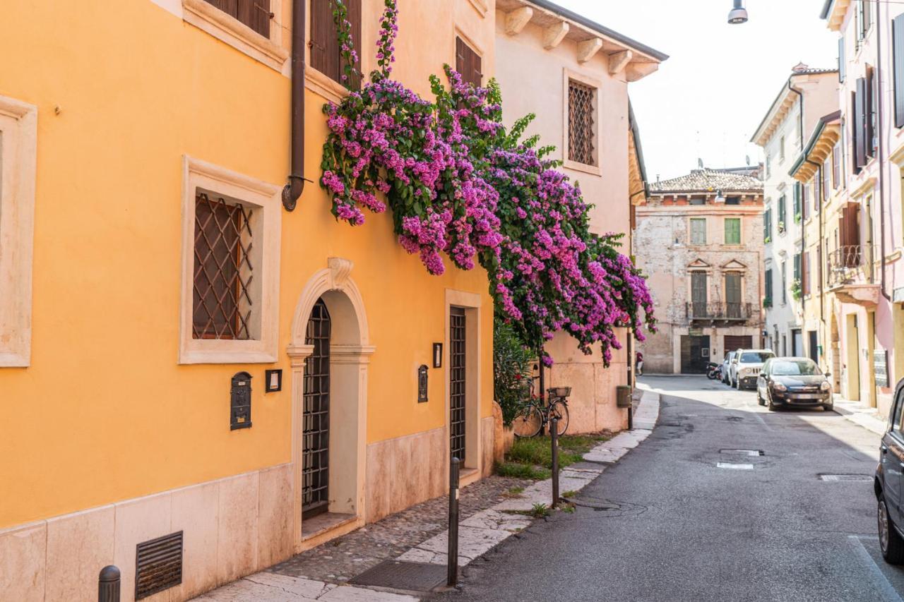 Domus Verona - Residenza Merici 外观 照片